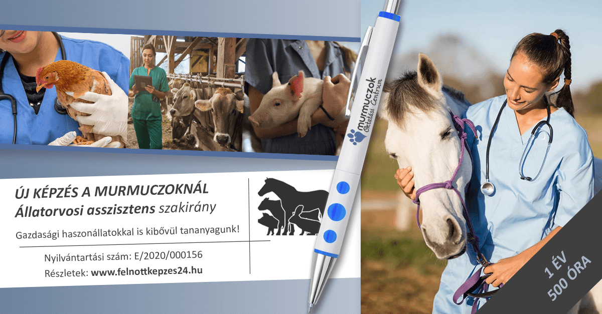 500-oras-allatorvosi-asszisztens-kepzes