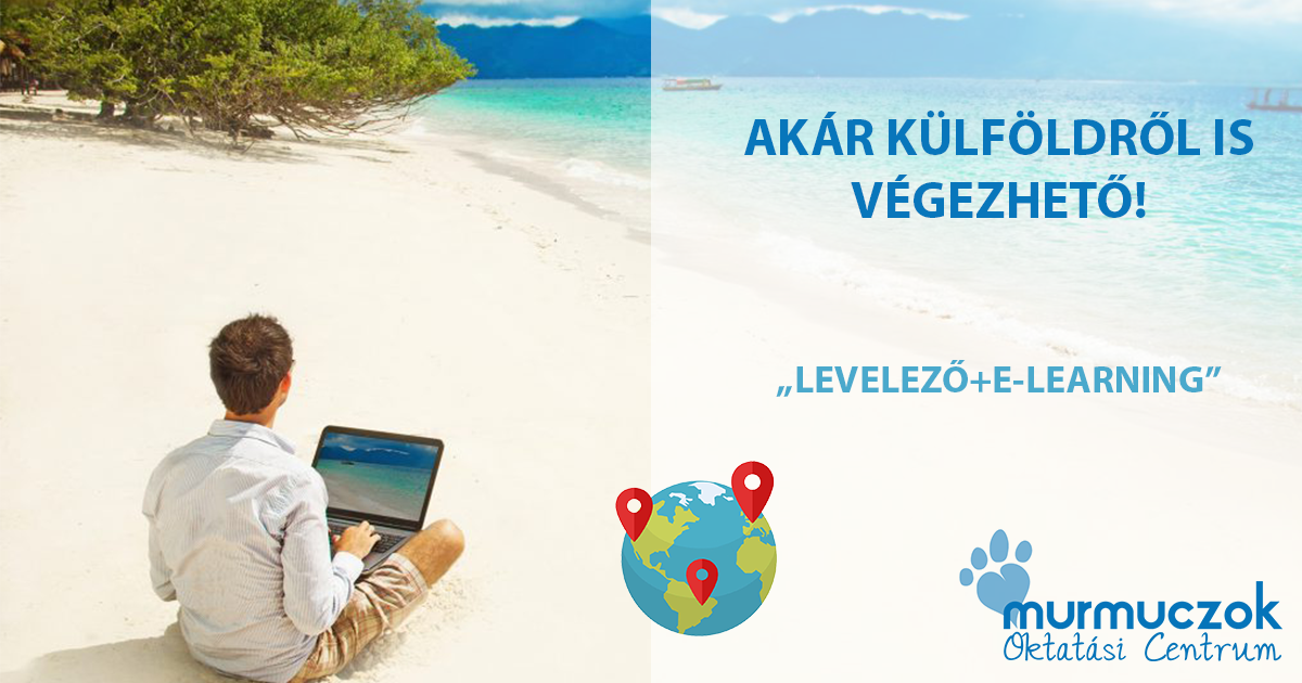 allatgyogyaszati-asszisztens-kepzes-levelezeo-e-learning