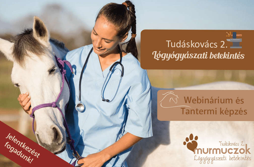 tudaskovacs-2-logyogyaszat-tovabbkepzes