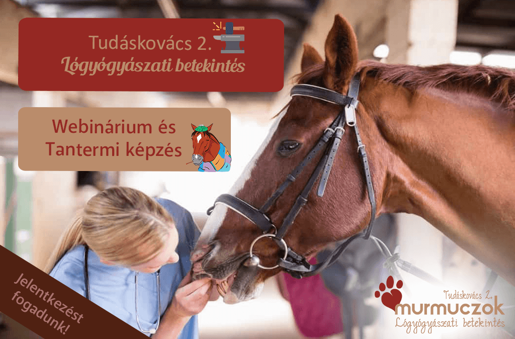 tudaskovacs-2-logyogyaszat